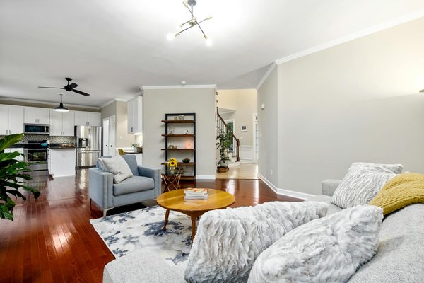 Top tips for expert pet grooming at home: master the best practices!