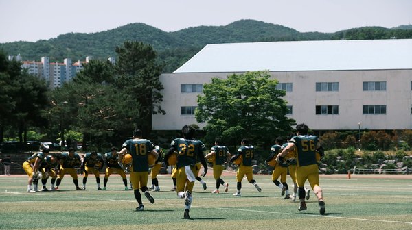 What Are the Latest Challenges Facing the UK's Automotive Sector?