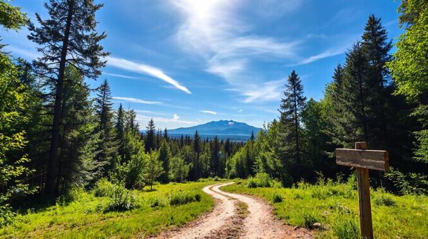 Top naturist camping spots to discover in France